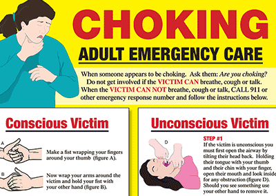 Poster 18×24 Choking