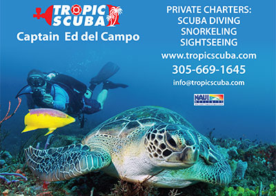 Poster 31×28 Tropic Scuba Sign