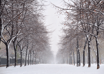 Manipulation Couple moved from Fall to Winter